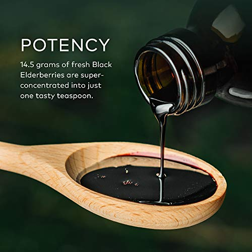 Foto 4 pulgar | Suplemento Gaia Herbs Sirope De Saúco Negro 160 Ml - Venta Internacional.