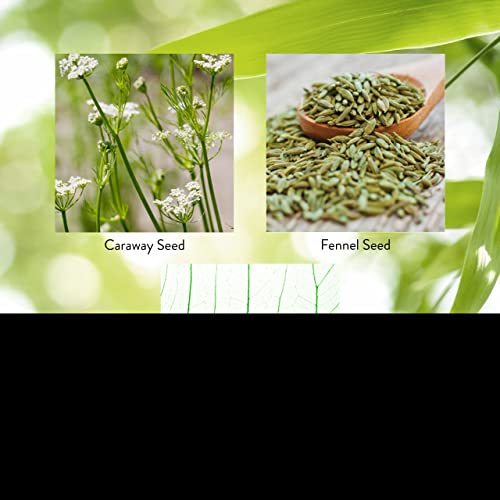 Foto 5 | Suplemento De Enzimas Digestivas Nature's Sunshine Proactazyme - Venta Internacional.