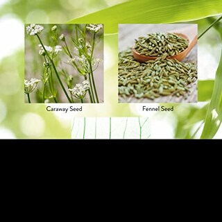 Foto 5 | Suplemento De Enzimas Digestivas Nature's Sunshine Proactazyme - Venta Internacional.