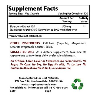 Foto 2 | Suplemento Best Naturals Saúco Sambucus Nigra 5000 Mg 12 - Venta Internacional.