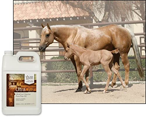 Foto 4 pulgar | Suplemento De Aceite De Lino Puro Ultracruz Para Caballos De 3,78 Litros - Venta Internacional.