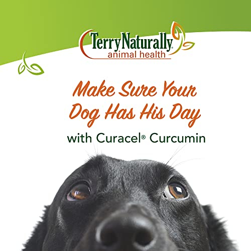 Foto 3 pulgar | Suplemento Curacel Curcumin 37 De Terry Naturally Animal Health - Venta Internacional.
