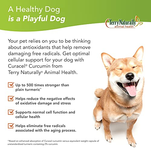Foto 4 pulgar | Suplemento Curacel Curcumin 37 De Terry Naturally Animal Health - Venta Internacional.