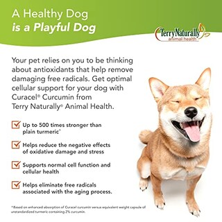 Foto 3 | Suplemento Curacel Curcumin 37 De Terry Naturally Animal Health - Venta Internacional.