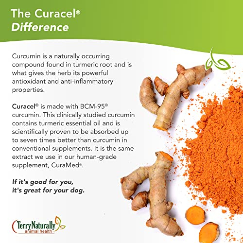 Foto 5 pulgar | Suplemento Curacel Curcumin 37 De Terry Naturally Animal Health - Venta Internacional.