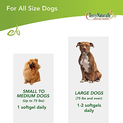 Foto 7 pulgar | Suplemento Curacel Curcumin 37 De Terry Naturally Animal Health - Venta Internacional.