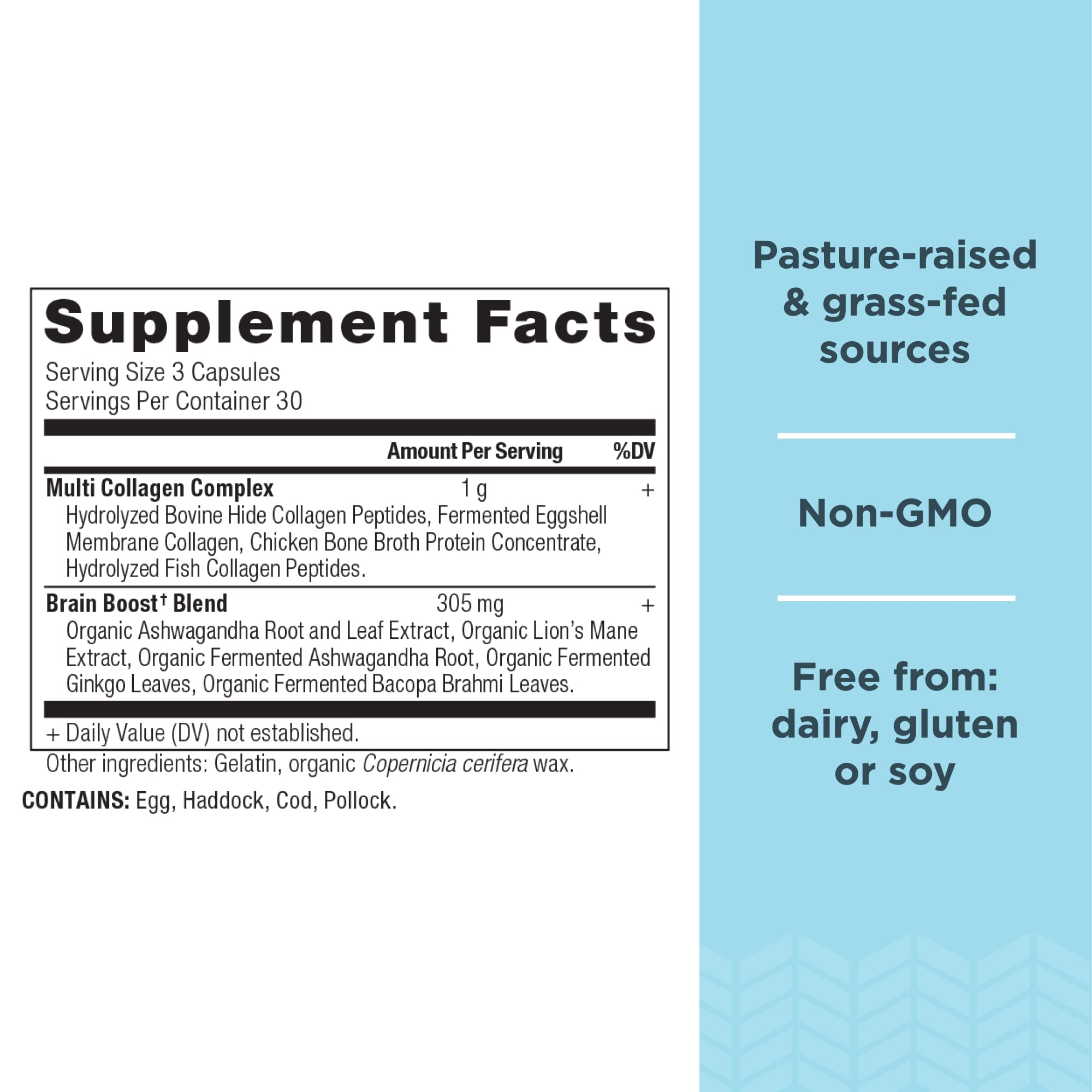 Foto 3 pulgar | Suplemento De Ancient Nutrition, Proteína De Colágeno, Refuerzo Cerebral - Venta Internacional.