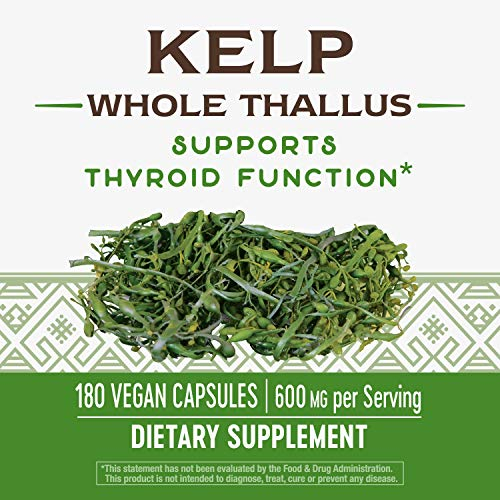 Foto 6 pulgar | Suplemento Nature's Way Kelp, 600 Mg, Sin Ogm, 180 Cápsulas - Venta Internacional.