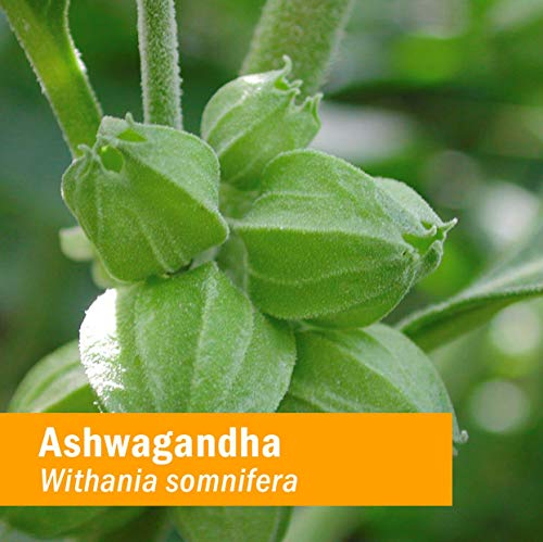 Foto 3 pulgar | Suplemento De Extracto De Ashwagandha De Herb Pharm, 60 Ml, Sin Alcohol - Venta Internacional.