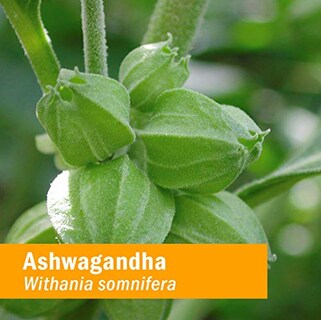 Foto 2 | Suplemento De Extracto De Ashwagandha De Herb Pharm, 60 Ml, Sin Alcohol - Venta Internacional.
