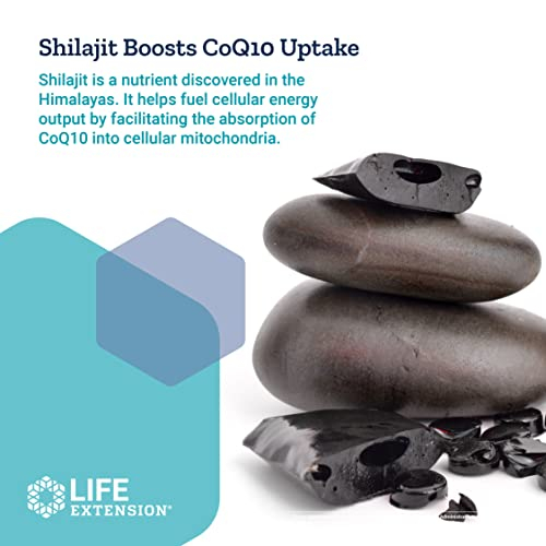 Foto 7 pulgar | Suplemento Life Extension Super Ubiquinol Coq10, 100 Mg, 60 Ml - Venta Internacional.