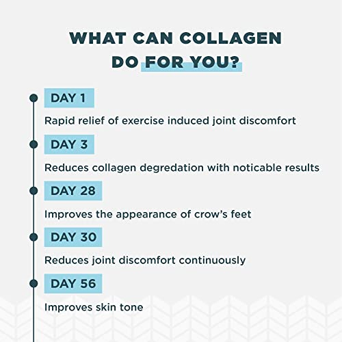 Foto 6 pulgar | Proteína De Colágeno En Polvo Ancient Nutrition 450 Ml Con Probiótico - Venta Internacional.