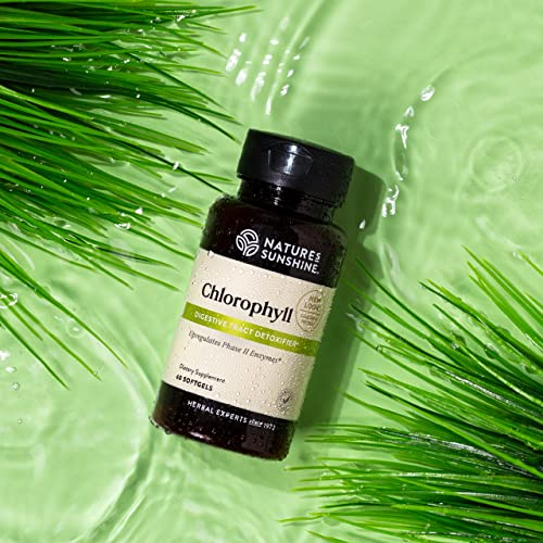 Foto 3 pulgar | Suplemento Nature's Sunshine Chlorophyll 60 Cápsulas De Gelatina Blanda - Venta Internacional.