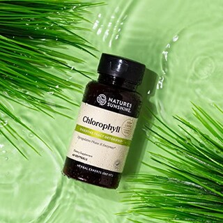 Foto 2 | Suplemento Nature's Sunshine Chlorophyll 60 Cápsulas De Gelatina Blanda - Venta Internacional.