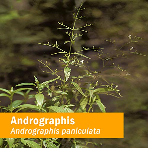 Foto 3 pulgar | Extracto Líquido Herb Pharm Andrographis For Immune 120 Ml - Venta Internacional.