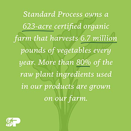 Foto 7 | Suplemento Standard Process Zypan Digestive Health 90 Comprimidos - Venta Internacional.