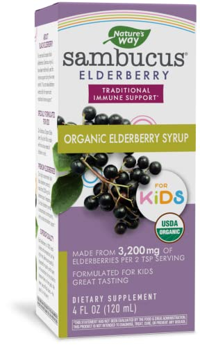 Foto 2 pulgar | Syrup Nature's Way Sambucus Organic Saúco Para Niños 120 M - Venta Internacional.