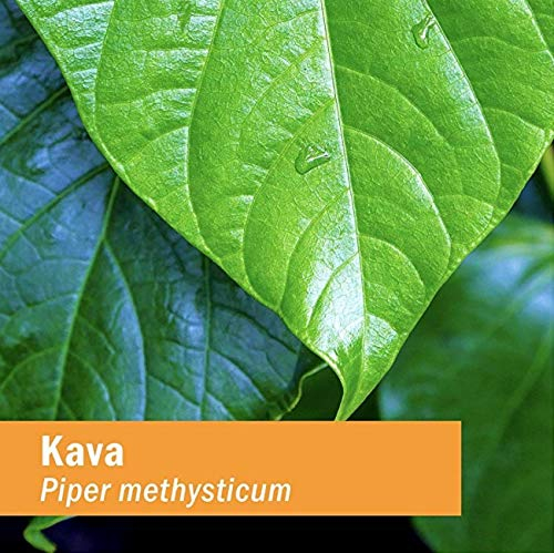 Foto 4 pulgar | Extracto Líquido De Raíz De Kava Herb Pharm, 60 Ml, Reduce El Estrés - Venta Internacional.