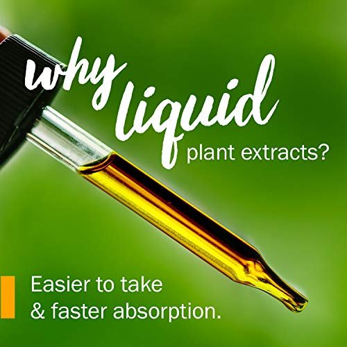 Foto 5 pulgar | Extracto Líquido De Raíz De Kava Herb Pharm, 60 Ml, Reduce El Estrés - Venta Internacional.