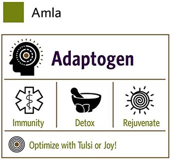 Foto 6 | Amla Powder Organic India, Vitamina C, Ayuda Al Sistema Inmunitario, Bolsa De 1 Kg - Venta Internacional.