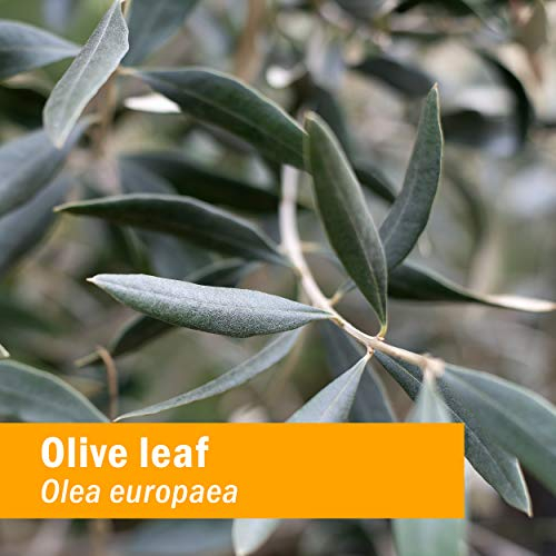Foto 3 | Extracto Líquido De Hoja De Olivo Herb Pharm, 30 Ml, Certificado Orgánico - Venta Internacional.