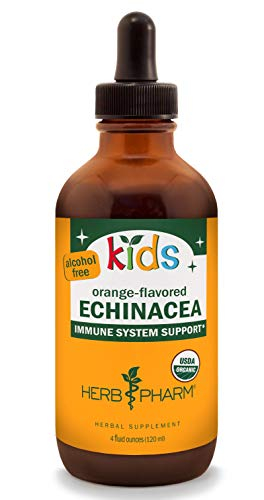 Foto 2 pulgar | Extracto Líquido Herb Pharm Echinacea Glicerite 120 ml para Niños - Venta Internacional