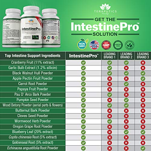 Foto 4 | Suplemento Teraputics Intestinepro Intestine Support 60 Cápsulas - Venta Internacional