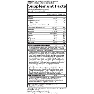 Foto 5 | Suplemento Garden Of Life Raw Organic Perfect Green 560 ml - Venta Internacional