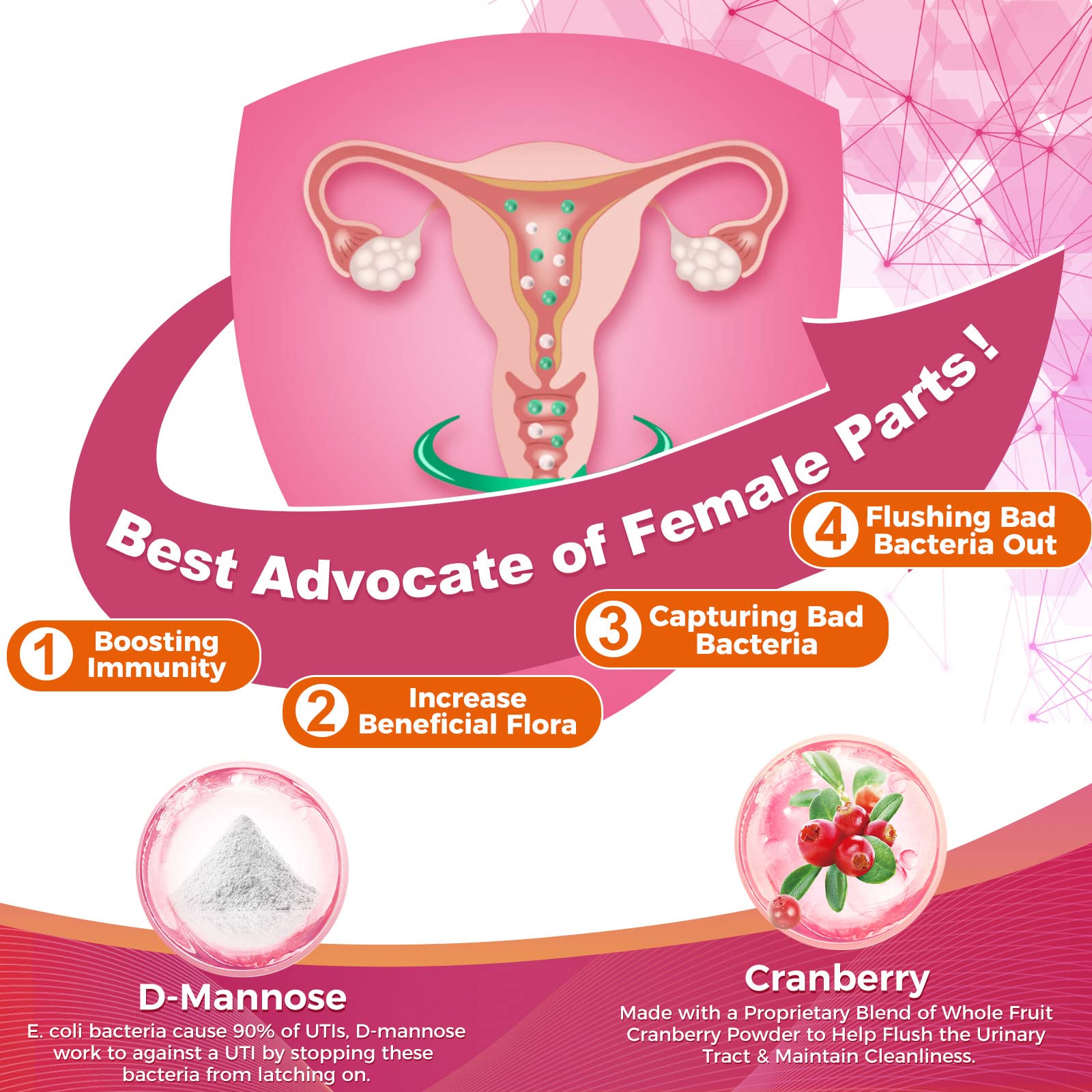Foto 5 pulgar | Probióticos Zebora Probióticos Para Mujeres 100 Mil Millones De Cfu - Venta Internacional.