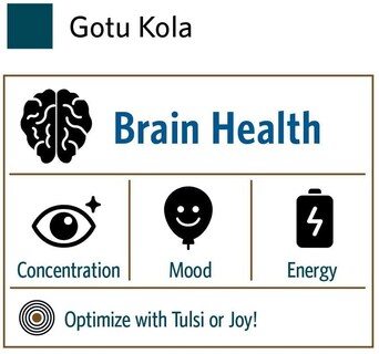 Foto 3 | Suplemento Organic India Gotu Kola Herbal 90 Cápsulas - Venta Internacional