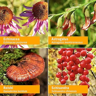 Foto 3 | Suplemento Herb Pharm Daily Immune Builder Herbal 60 ml - Venta Internacional
