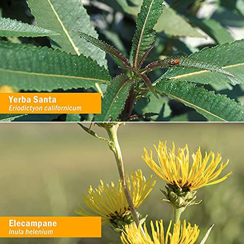 Foto 5 | Suplemento Herb Pharm Expectorante Pulmonar 30 Ml Fórmula A Base De Hierbas - Venta Internacional