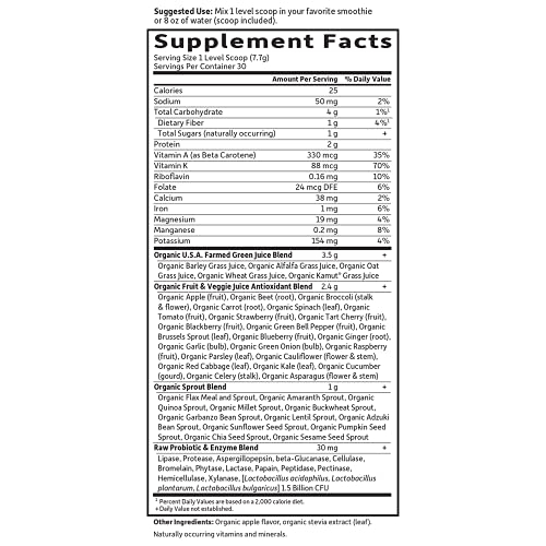 Foto 5 | Suplemento Garden Of Life Raw Organic Perfect Food Green - Venta Internacional