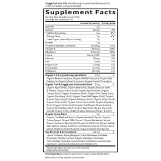 Foto 5 | Suplemento Garden Of Life Raw Organic Perfect Food Green - Venta Internacional
