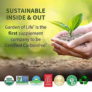 Foto 6 | Suplemento Garden Of Life Raw Organic Perfect Food Green - Venta Internacional