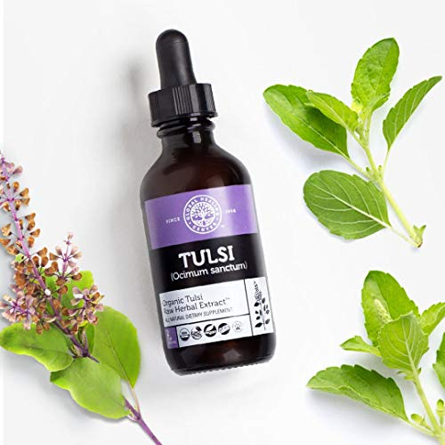 Foto 5 pulgar | Suplemento Global Healing Organic Tulsi Holy Basil 60 ml - Venta Internacional