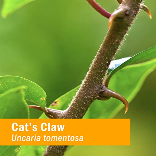 Foto 4 pulgar | Extracto Líquido Herb Pharm Cat's Claw uña de Gato 120 ml - Venta Internacional