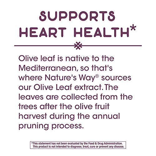 Foto 4 | Suplemento de Extracto de Hoja de Olivo Nature's Way 250 mg - Venta Internacional