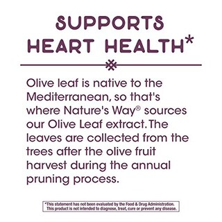 Foto 4 | Suplemento de Extracto de Hoja de Olivo Nature's Way 250 mg - Venta Internacional
