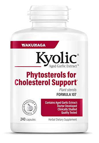 Foto 2 pulgar | Suplemento De Extracto De Ajo Envejecido Kyolic, Fórmula 107, 240 Cápsulas - Venta Internacional.