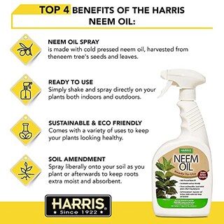 Foto 3 | Aceite De Neem En Aerosol Para Plantas Harris Prensado En Frío, 600 Ml - Venta Internacional.