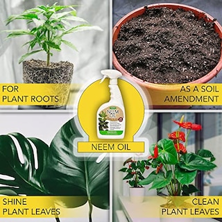 Foto 4 | Aceite De Neem En Aerosol Para Plantas Harris Prensado En Frío, 600 Ml - Venta Internacional.