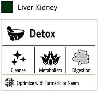Foto 2 | Suplemento Organic India Liver Kidney Detox 90 Cápsulas - Venta Internacional.