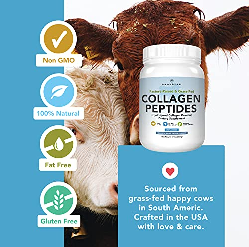 Foto 6 pulgar | Péptidos De Colágeno En Polvo Amandean Alimentados Con Pasto Tipo 1 Y 3, 500 Ml - Venta Internacional.
