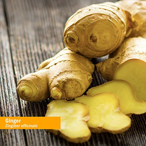 Foto 3 pulgar | Extracto Líquido Herb Pharm Ginger Organic, 120 Ml, Digestivo - Venta Internacional.