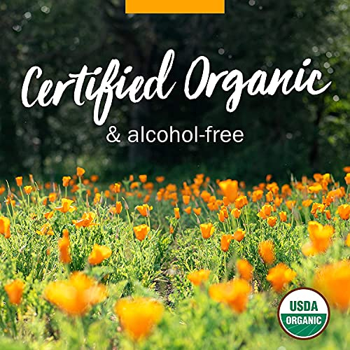 Foto 7 pulgar | Extracto Líquido Herb Pharm Ginger Organic, 120 Ml, Digestivo - Venta Internacional.