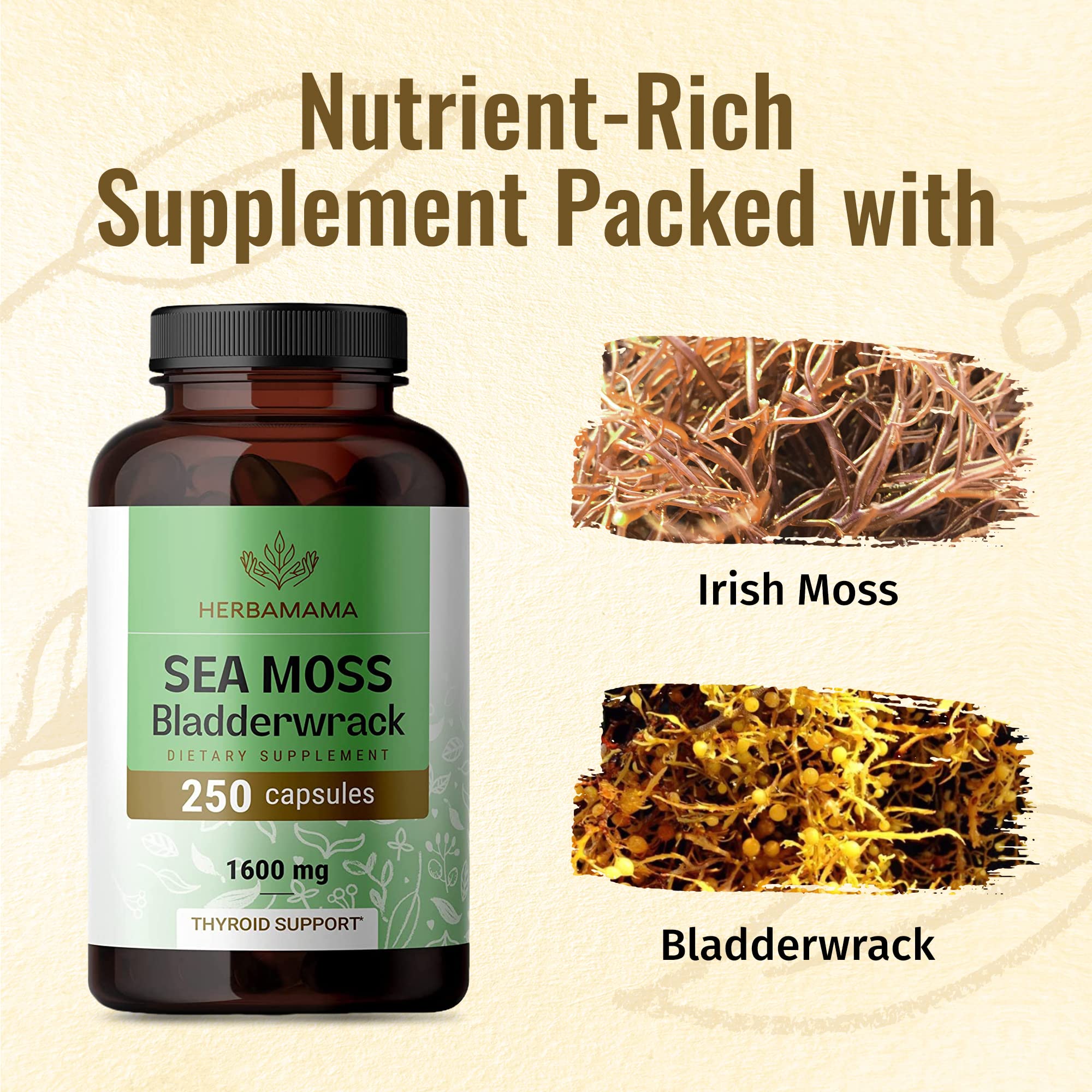 Foto 4 pulgar | Suplemento Herbamama Sea Moss Bladderwrack, Cápsulas De 250 Unidades - Venta Internacional.