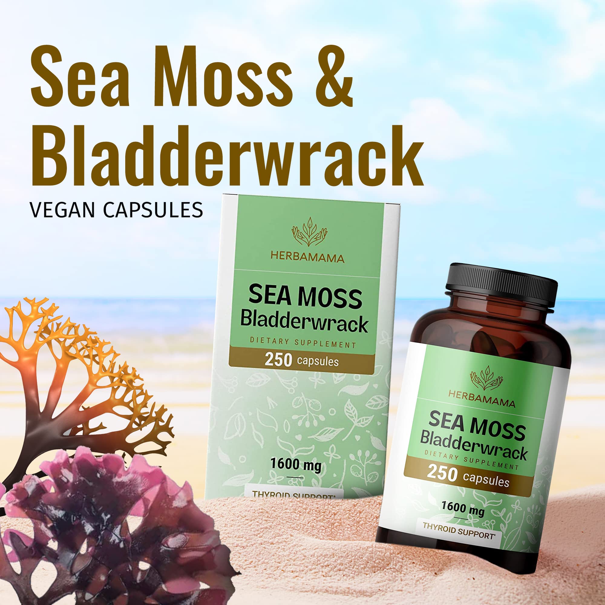 Foto 7 pulgar | Suplemento Herbamama Sea Moss Bladderwrack, Cápsulas De 250 Unidades - Venta Internacional.