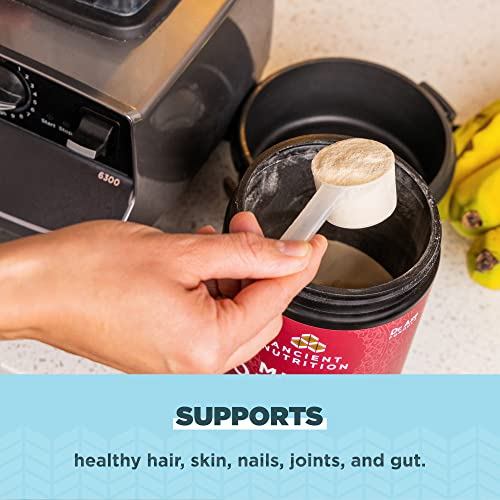 Foto 6 | Colágeno En Polvo Ancient Nutrition Brain Boost Vanilla 45 Ser - Venta Internacional.