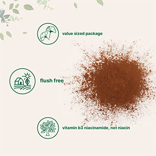 Foto 4 pulgar | Polvo de Ginkgo Biloba Orgánico en Microingredientes  240 ml - Venta Internacional